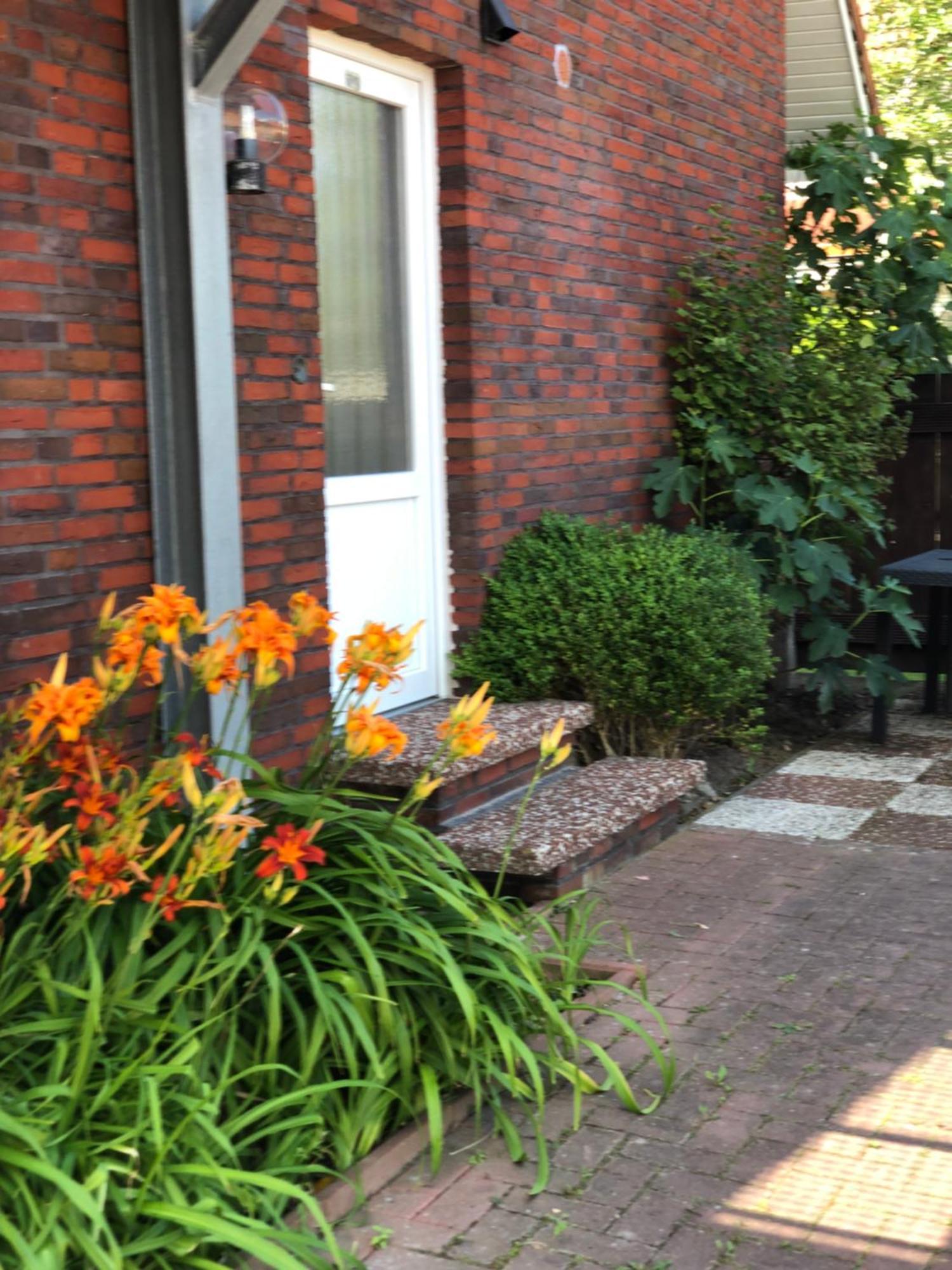 Ferienhaus Ankerweg An Der Seehundstation 诺德代希 外观 照片